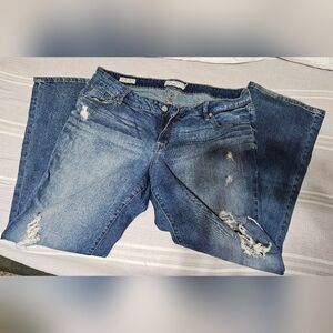 Torrid Relaxed Boot Jeans Women's Plus Size 20